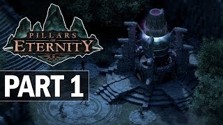 Pillars of Eternity Walkthrough Part 1 Intro  Lets Play Gameplay [upl. by Yrffej]