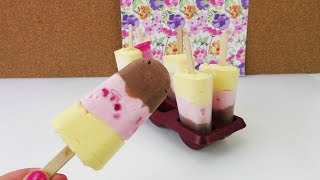 quotFürst Pücklerquot  Eis DIY  Schokolade Himbeere amp Vanille Eis  Neapolitan Icepop [upl. by Jojo]