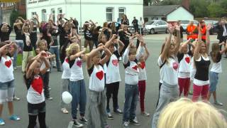 Hochzeit von Nils amp Jenny Flashmob [upl. by Aisenat]