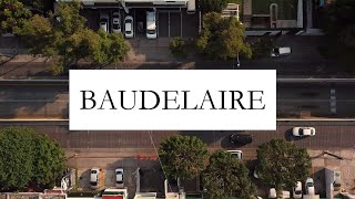 Charles Baudelaire  The Beauty and Horror of Modern Life [upl. by Quillan]