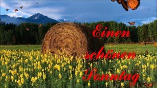 Einen schönen Sonntag  Videogrüße zum Versenden [upl. by Lucretia]