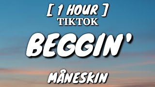 Måneskin  Beggin Lyrics 1 Hour Loop TikTok Song [upl. by Suiram]