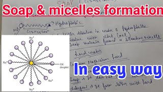 Soap and micelles formation in easy way with brief [upl. by Erlond903]