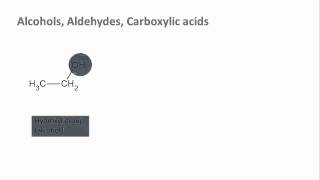 Biochemistry 12 Functional groups [upl. by Einafats]