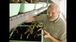 Growing Morel Mushrooms [upl. by Seward]