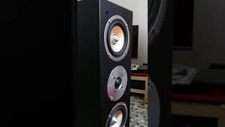 I diffusori audio Auna 501 fs [upl. by Aundrea]