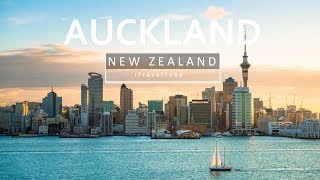 Auckland City  New Zealand Travel Guide Aerial Drone  Traveller [upl. by Ramahs]