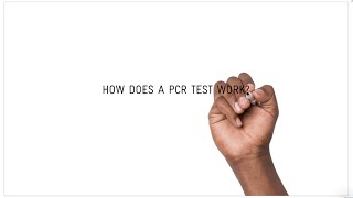 How does a COVID19 PCR test work [upl. by Jarrow]