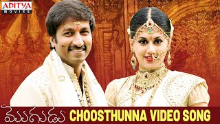 Choosthunna Song  Mogudu Video Songs  Gopichand Taapsee [upl. by Carlene]