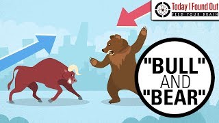 Why are Bull and Bear Markets Called That [upl. by Luckett]