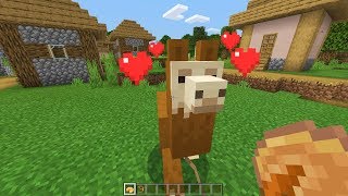 How To Tame And Ride A Llama In Minecraft [upl. by Karl]