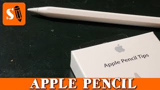 Apple Pencil How to Change the Tip Tutorial [upl. by Nosydam]