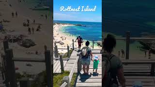 Rottnest Island Perth… [upl. by Juliet]