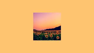 Rex Orange County  Sunflower  slowed [upl. by Ott47]