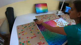 Time Lapse Puzzle Clementoni Colorboom Mosaic 1000 [upl. by Sabir811]