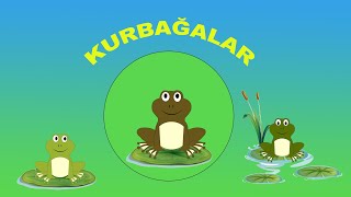 Kurbağalar [upl. by Vizzone]