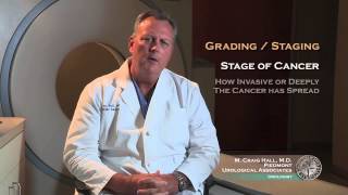 Defining TNM Staging and Early Stage NSCLC [upl. by Oad761]