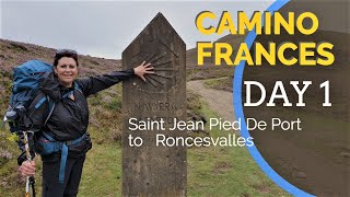 Camino Frances Day 1 Saint Jean Pied De Port to Roncesvalles [upl. by Paul]