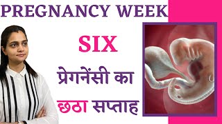 Pregnancy के 6 weeks में क्या होता है क्या करना चाहिए शिशु का विकास क्या खाना चाहिए  Hindi Video [upl. by Reitrac839]