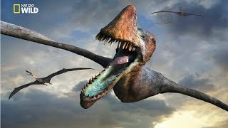 National Geographic  Flying Sky Monsters Pterosaur  New Documentary HD 2018 [upl. by Kirrad]