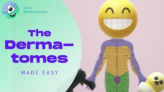 How to Easily Memorize the Dermatomes [upl. by Ava]