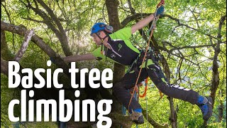 Simple amp safe tree climbing ascent technique [upl. by Yelyac418]