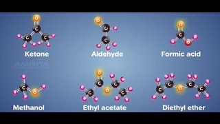 Functional Groups  Class 10 Tutorial [upl. by Trebeh]