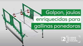 GALPON JAULAS ENRIQUECIDAS PARA GALLINAS PONEDORAS INFORMACIÓN TÉCNICA ZUCAMI AVICULTURA MODERNA [upl. by Chally]