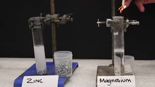 Making Salts From Acids amp Metals GCSE Chemistry [upl. by Doehne859]