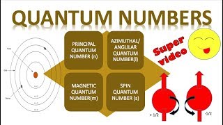 Quantum Numbers Chemistry Class 11  Tricks😋  Principal Azimuthal Magnetic and Spin Quantum [upl. by Berlin]