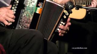 Melbourne Ceilidh Band  Irish Dance Jigs [upl. by Casimire]