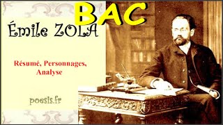 Émile Zola  Thérèse Raquin Analyse [upl. by Maharg]