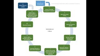 The Expanded Cycle of Narcissistic Abuse [upl. by Yettie922]