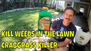 HOW TO KILL WEEDS and CRABGRASS Without Killing Grass  Weed Control [upl. by Gensmer]