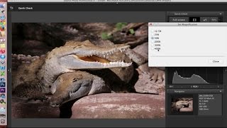 Canon Digital Photo Professional DPP 4 Software Overview and Interface Tour [upl. by Quenby61]