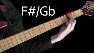 Learn Bass  Learning the notes of the fretboard [upl. by Irb]