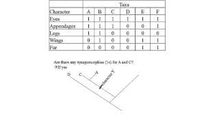 Cladogram Exercise by Hamid Razifard [upl. by Burdett97]