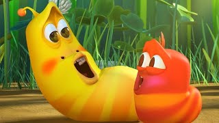 LARVA  LARVA BEBÉS  2018 Película Completa  Dibujos animados para niños  WildBrain [upl. by Amilas656]