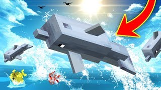 Everything You Need To Know About DOLPHINS In Minecraft [upl. by Zaria131]