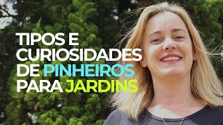 Tipos e curiosidades de pinheiros para jardins [upl. by Ihsir]