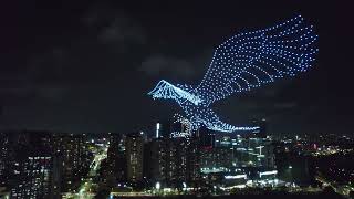 Chinese dragon drone light show supplier [upl. by Amelie]