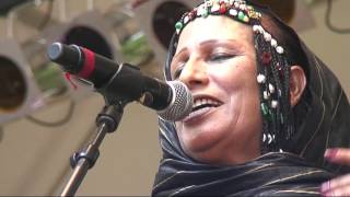 Mariem Hassan  6  LIVE at Afrikafestival Hertme 2010 [upl. by Seravat]