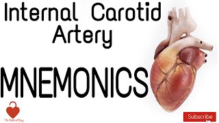 Internal Carorid Artery MNEMONICS  Easy to remember [upl. by Koressa]