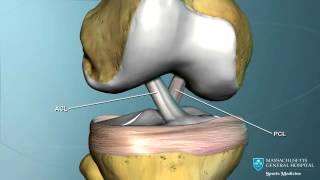 Part I Knee Anatomy [upl. by Ennayhc]