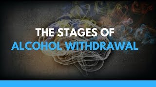 The Stages of Alcohol Withdrawal [upl. by Gerk]