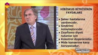 Tıbbi Bitkiler  Hibiskus Bitkisi  DİYANET TV [upl. by Yssirhc]