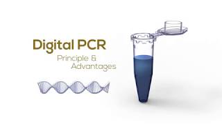 Digital PCR Principle amp Advantages [upl. by Enaamuj]