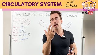 Circulatory System  Overview [upl. by Georgeanna140]