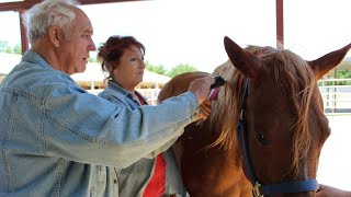 Hippotherapy Using Equine Movement in Clinical Practice  Chapter 4 Therapy Sessions [upl. by Foss]