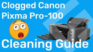 How to Clean a Severely Clogged Canon Print Head – Freehand Graphics™ [upl. by Oivlis]